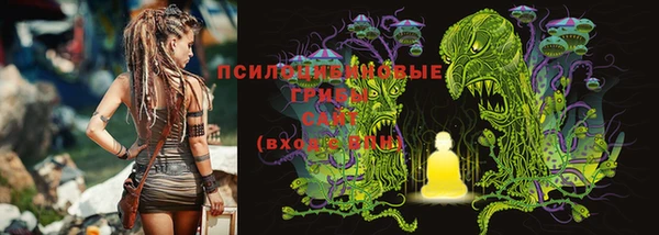 герыч Каменка