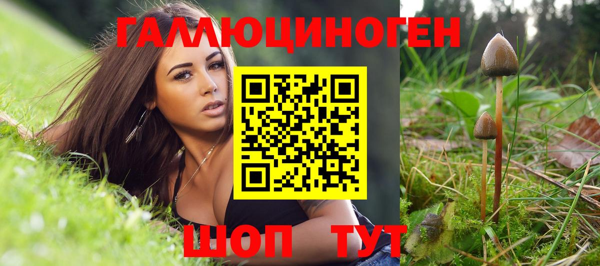 Липецк  Псилоцибиновые грибы Psilocybe  Вход с VPN  Галлюциногенные грибы Psilocybine cubensis 